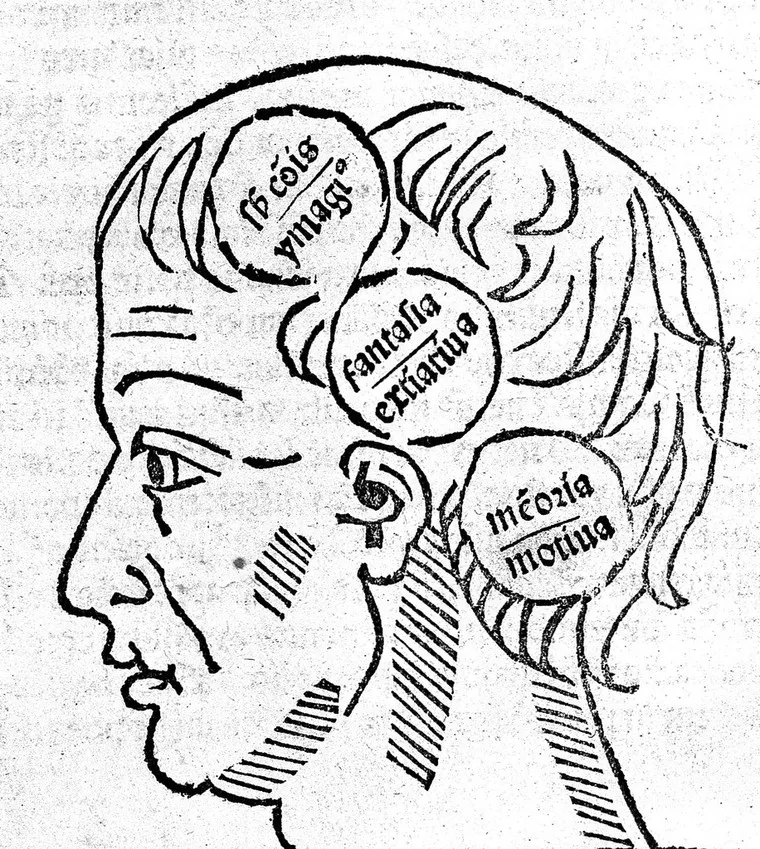 Opusculum perutile de cognitione animae et ejus potentiis / Augustini de Anchona cum quadam questione Prosperi de Regio; Wellcome Collection; public domain